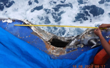 Nouvel accrochage sino-philippin en mer de Chine méridionale