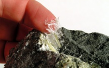 L'amiante au cœur des débats au CGF