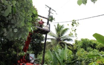 Teva i Uta: Un cocotier provoque une coupure d'électricité et une coupure d'eau