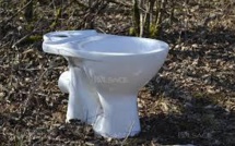 Danger, WC ! Une femme blessée dans l'explosion de toilettes en Autriche