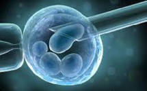 Des spermatozoïdes in vitro, un espoir pour des milliers d'hommes infertiles