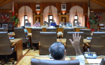 Avantages en nature : le CESC propose au Pays de payer l’ardoise de la CPS