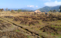 El Niño en Papouasie-Nouvelle-Guinée : au moins une dizaine de millions de dollars nécessaires en urgence