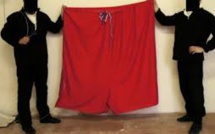 Rép. tchèque: un caleçon géant au lieu de l'étendard présidentiel