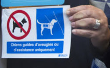 Un pictogramme pour l'accueil des chiens guides, partout, comme le veut la loi