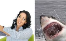 En 2015, les selfies ont fait plus de morts que les attaques de requin