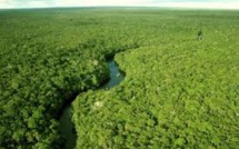 Le biologiste George Schaller s'inquiète pour une Amazonie en danger
