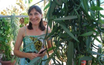 Raiatea, le laboratoire où la vanille prend forme