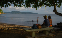 Dans une Martinique marquée par l'exode des jeunes, certains font le choix du retour