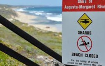 La technologie à la rescousse à un sommet sur les requins en Australie