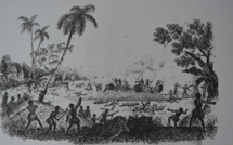 43 récits de cannibalisme et l'Histoire des îles océaniennes en fil rouge