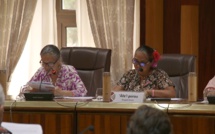 ​Le Cesec retoque la DSP automatique à Onati