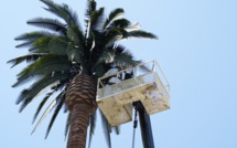 Exposition aux ondes électromagnétiques : le texte d'Antonio Perez recalé au CESC