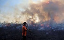 Indonésie: les incendies de forêts pourraient devenir les pires jamais connus