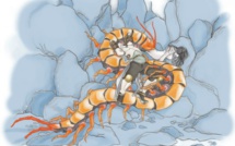 Légende de Paniolo, le 100 pieds amoureux d’une princesse