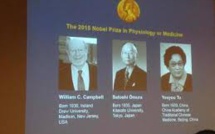 Le Nobel de médecine récompense la lutte contre les maladies parasitaires