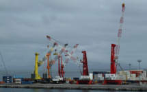 Grues : le rappel à l'ordre de l'aviation civile aux acconiers de Papeete