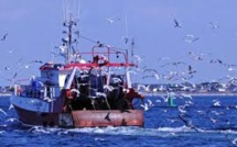 Rejets en mer de poissons: l'UE annonce quelques exemptions pour 2016