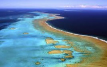 Les aires marines protégées en plein essor, leur gestion en question