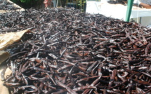 Yolande Wong Lam, l'apporteuse d'affaire "très active" de la Sofipac