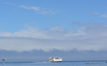 Une baleine heurte l'arrière d'un ferry qui quittait Moorea