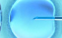 Infertilité: l'élargissement des dons de gamètes, une avancée qui risque de ne pas suffire