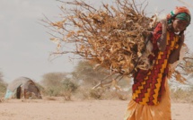 Appel de personnalités pour "soutenir les femmes face au dérèglement climatique"