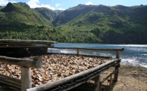 La filière coco à la recherche d’un avenir rentable