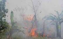 Incendies en Indonésie: l'aide internationale ne suffira pas