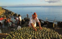 Ouverture partielle de la pêche aux trocas en novembre