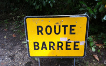 Chute d'un arbre sur la RT1 à Taravao, circulation bloquée la nuit dernière