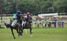 Quatre courses de chevaux à suivre dimanche