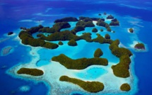 Les Palaos sanctuarisent leur océan