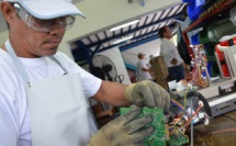 L'insertion professionnelle des personnes handicapées est toujours largement incomplète