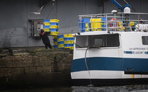 Golfe de Gascogne: le mois sans pêche protège "incontestablement" les dauphins, selon le ministère