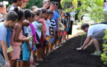 Un herbier vivant à la mairie de Punaauia