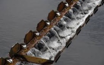 Des toilettes au verre d'eau, recyclage pour défier la sécheresse en Californie