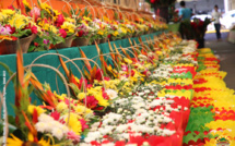 Floralies : la ville de Papeete prend des couleurs