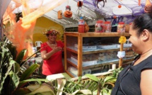 A la veille de l'Hawaiki Nui Va'a, Huahine en fête (diaporama)