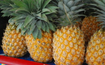 Agriculture : " Tous les dispositifs mis en place restent d'actualité"