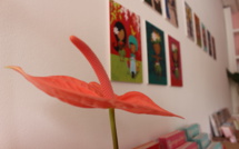 Mme Carotte (r)ouvre son atelier au public