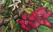 "Te ruperupe o te natura - Les merveilles de la nature"