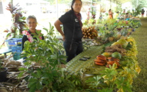 Moorea : Les produits de la terre étaient à l'honneur samedi dernier