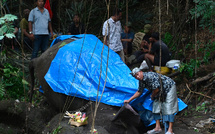 Indonésie: un éléphant rare du zoo de Bali meurt dans les inondations