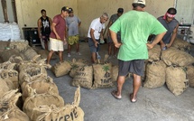 Le prix du coprah de 1re qualité revalorisé au 1er janvier 2025