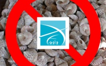 Pêche aux trocas interdite à Faa'a