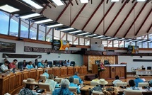 Mercadal sous le feu des critiques à l'assemblée