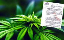 “Tout le monde a cru”