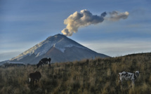 Le Cotopaxi, volcan sud-américain sous haute surveillance