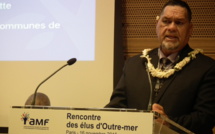 Les idées des tavana pour réformer les communes associées